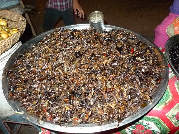 201003cambodia_2233.JPG