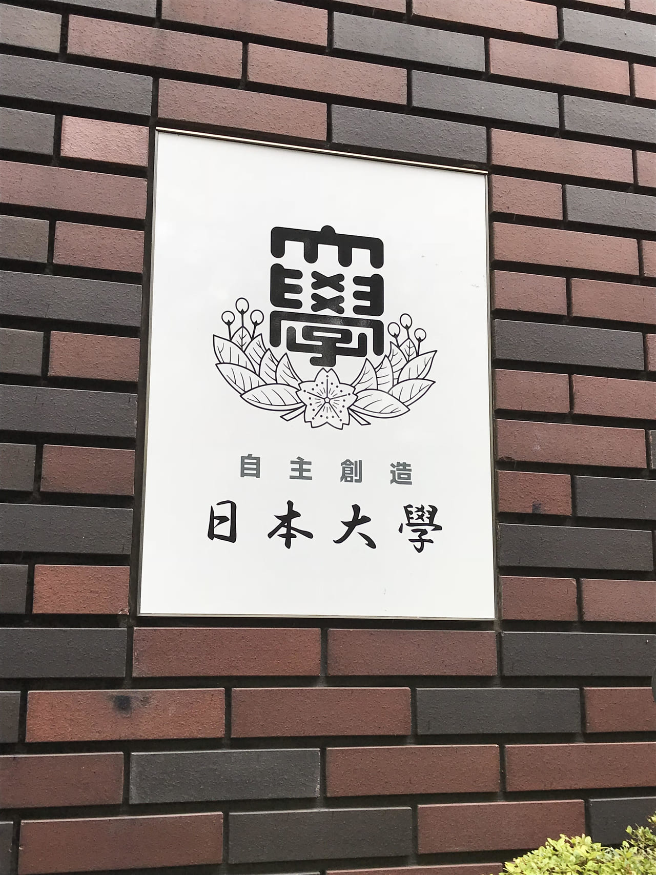 日大生が大麻で逮捕 実はアンダーグラウンドで若年層に蔓延している大麻ネットワーク ガジェット通信 Getnews